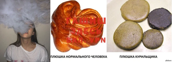 стаф Абинск