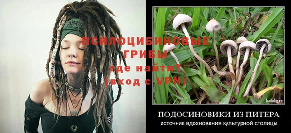 прущая мука Абаза